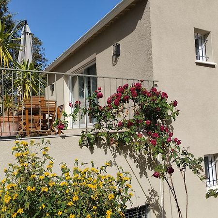 Charmante Maison Avec Jardin Aux Portes Des Gorges De L'Ardeche Saint-Julien-de-Peyrolas Exterior foto